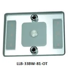 Elegant Wall Mount LED Lights