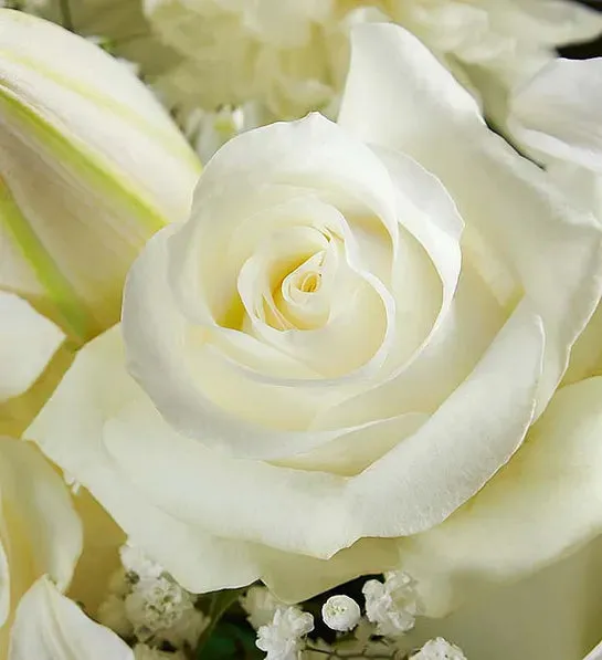 Pure White Urn Cremation Flowers