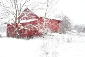 Red Barn Art Canvas Photography